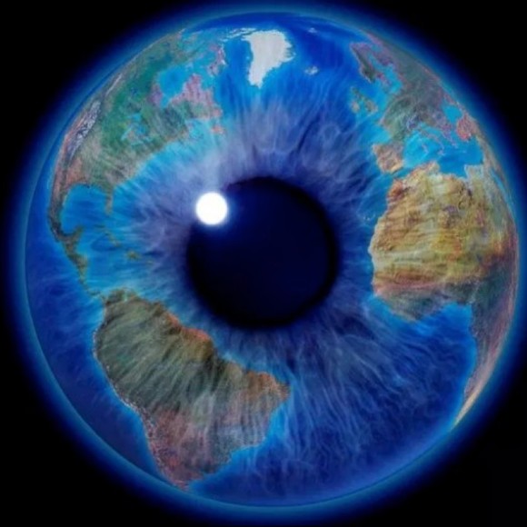 Meet your Posher, Roland - Picture 1 of 1